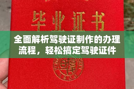 额敏全面解析驾驶证制作的办理流程，轻松搞定驾驶证件